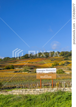 Chassagne Montrachet sign marking Bourgogne wine region vineyards Chassagne Montrachet sign marking Bourgogne wine region vineyards 135606077