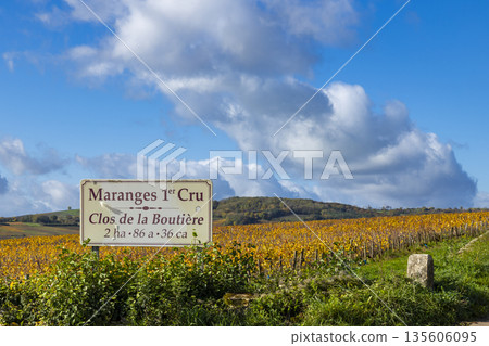 Maranges 1er Cru vineyard sign in autumn Bourgogne Franche Comte 135606095