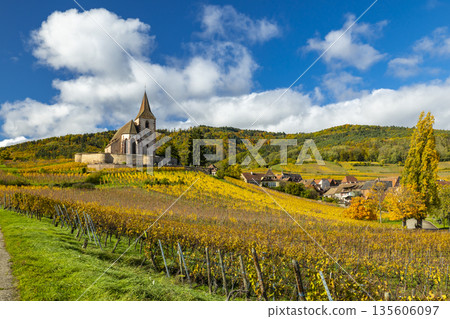 Hunawihr village church among changing autumn vineyards 135606097