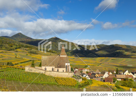 Hunawihr village and fortified church among autumn vineyards 135606098