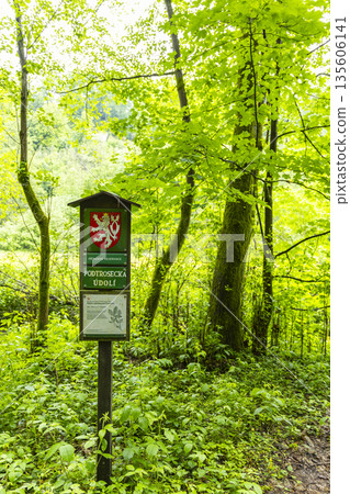 Podtrosecka Valley Nature Reserve sign in green forest 135606141