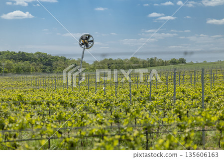 Czechia vineyard featuring frost protection wind machine Czechia vineyard featuring frost protection wind machine 135606163