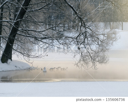 Winter walk along the river on a sunny misty morning. Winter walk along the river on a sunny misty morning. 135606736