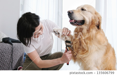 Woman Owner Brushing Paws And Cutting Fur Her Dog, Grooming Procedures At Home Woman Owner Brushing Paws And Cutting Fur Her Dog, Grooming Procedures At Home 135606799