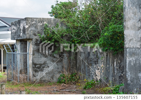 Military remains from the Pacific War, the remains of a deteriorated and weathered concrete battle command post (negative heritage/historical material) Military remains from the Pacific War, the remains of a deteriorated and weathered concrete battle command post (negative heritage/historical material) 135607155