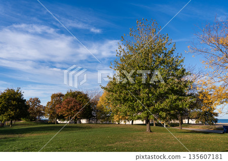 City park in autumn. Autumn landscape with lawn. Fall nature landscape. Autumn nature in city park. Seasonal fall landscape. Park autumn tree nature. Scenic fall City park in autumn. Autumn landscape with lawn. Fall nature landscape. Autumn nature in city park. Seasonal fall landscape. Park autumn tree nature. Scenic fall 135607181