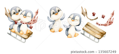 Cute Penguins with Scarfs sledding sleigh. Watercolor hand drawn illustration isolated on white background for winter design Christmas or Valentine card baby textile nursery sticker kids holiday print 135607249