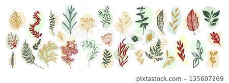 A set of spring branches . Hand drawn. Not AI, vector illustration. 135607269