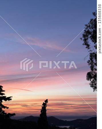 Vibrant sunset sky with colorful clouds and treetop silhouettes, perfect background. Vibrant sunset sky with colorful clouds and treetop silhouettes, perfect background. 135608338