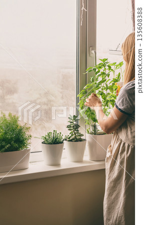 woman is taking care of houseplants 135608388