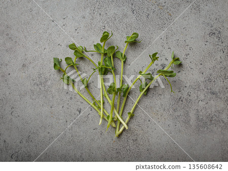 Fresh pea shoots scattered gray concrete background healthy fibre superfood Fresh pea shoots scattered gray concrete background healthy fibre superfood 135608642
