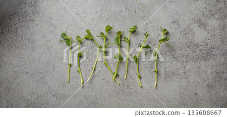 Fresh pea shoots scattered gray concrete background healthy fibre superfood Fresh pea shoots scattered gray concrete background healthy fibre superfood 135608667