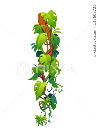 Vertical tropical jungle rain forest liana vine branch wrapped in lush green leaves and twisting tendrils. Cartoon vector hanging roots for game environments, tropical or exotic adventure landscapes 135608720