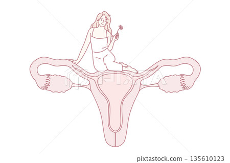 Female reproductive system health concept. Female reproductive system health concept. 135610123