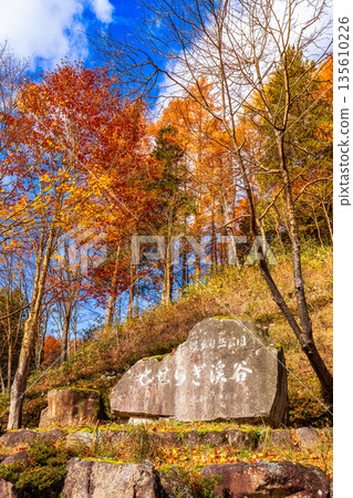 Seseragi Valley (November: Autumn leaves) Seseragi Valley (November: Autumn leaves) 135610226