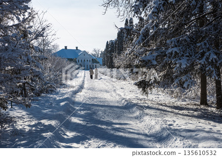 People strolling in a snowy winter park on a clear day. Peaceful landscape and fresh air. People strolling in a snowy winter park on a clear day. Peaceful landscape and fresh air. 135610532