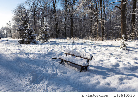 A snow-covered park bench on a clear winter day A snow-covered park bench on a clear winter day 135610539