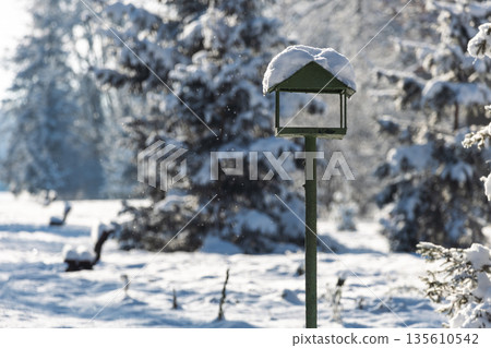 Charming bird house in a snow-covered winter forest on a bright sunny day. 135610542