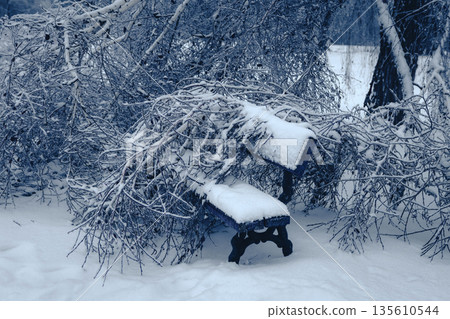 Broken birch branch on a snow-covered park bench. Winter day scene of nature's silence. 135610544