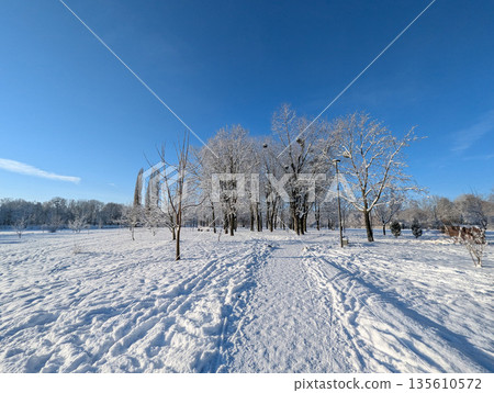 Beautiful winter landscape with snow-covered trees and an alley on a clear sunny day. 135610572