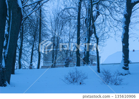 Snowy Winter Park with Deep Snowdrifts and Frozen Trees Snowy Winter Park with Deep Snowdrifts and Frozen Trees 135610906