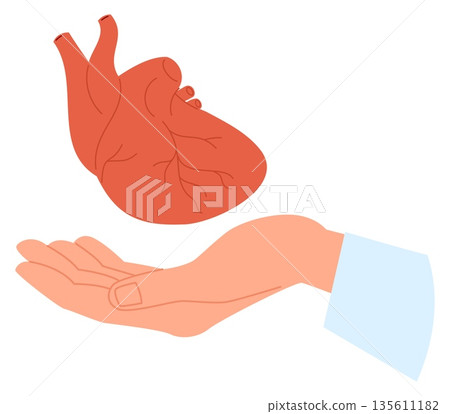 Doctors hand in medical gown holds human heart. Cardio health. Anatomy internal organ on physicians palm. Cardiovascular treatment. Cardiologist arm. Medical diagnostic. Vector concept Doctors hand in medical gown holds human heart. Cardio health. Anatomy internal organ on physicians palm. Cardiovascular treatment. Cardiologist arm. Medical diagnostic. Vector concept 135611182