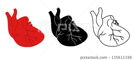 Human heart icons. Cardiology or anatomy medical signs. Red internal organ with aorta. Black and white cardiac logo. Cardio health care. Vector set of multicolored anatomical symbols 135611198