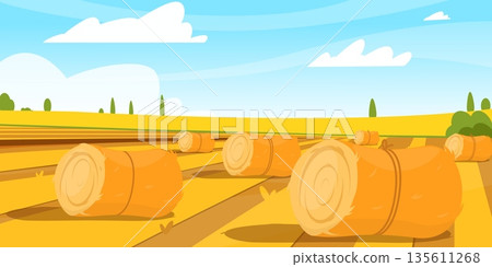 Rural landscape. Countryside fields with hay bales. Dry wheat grass. Village panorama. Bundles of straw. Farming haylofts. Forage harvesting. Agriculture haystacks. Vector background 135611268