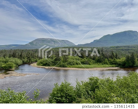 View of Gros Morne Mountain 135611435