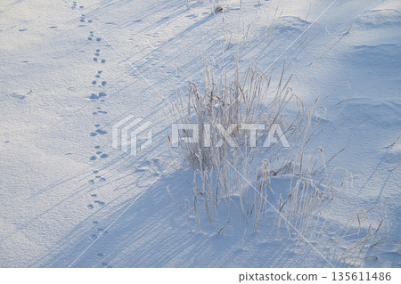 A snowy field with footprints 135611486