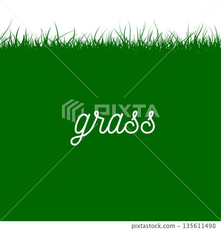 green grass background. hand drawing. Not AI Vector illustration 135611498