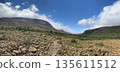 View from the Tablelands Trail @ Gros Morne National Park, Newfoundland, Canada 135611512