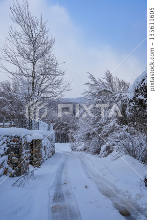 Snowy Road with Car Tire Tracks and Winter Trees Landscape Snowy Road with Car Tire Tracks and Winter Trees Landscape 135611605