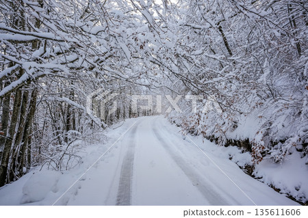 Car Tire Tracks on Snowy Road with Snow-Covered Trees 135611606