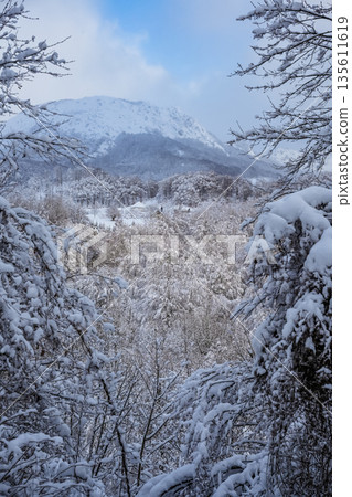 Winter Landscape Background with Snowy Trees and Mountain Peaks 135611619
