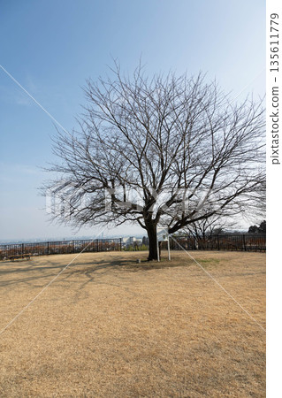 吉岡町城山三晴公園、古墳廣場 135611779