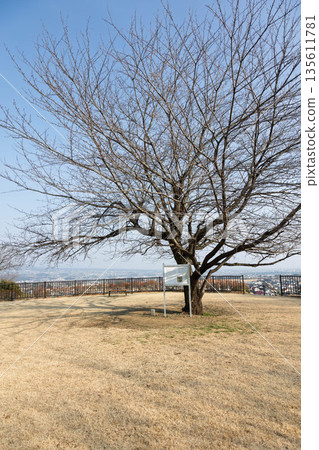 Yoshioka Town Shiroyama Miharashi Park, Ancient Tombs Square Yoshioka Town Shiroyama Miharashi Park, Ancient Tombs Square 135611781