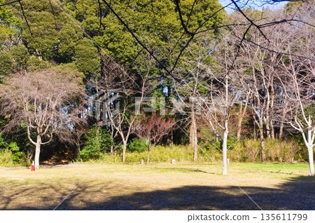 Around Nekinai Historical Park, Matsudo City, Chiba Prefecture January 2026 135611799