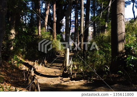 Around Nekinai Historical Park, Matsudo City, Chiba Prefecture January 2026 Around Nekinai Historical Park, Matsudo City, Chiba Prefecture January 2026 135611800