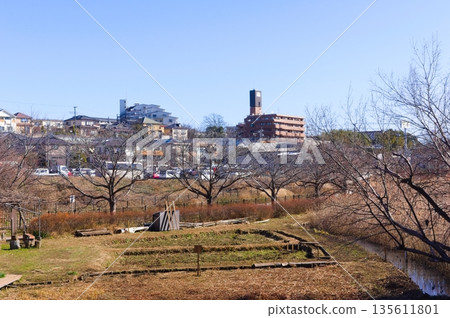 Around Nekinai Historical Park, Matsudo City, Chiba Prefecture January 2026 135611801