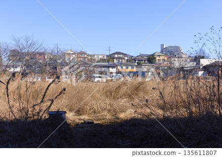 Around Nekinai Historical Park, Matsudo City, Chiba Prefecture January 2026 Around Nekinai Historical Park, Matsudo City, Chiba Prefecture January 2026 135611807
