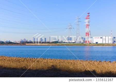 Near the mouth of the Arakawa River, Edogawa Ward, Tokyo, January 2026 135612167