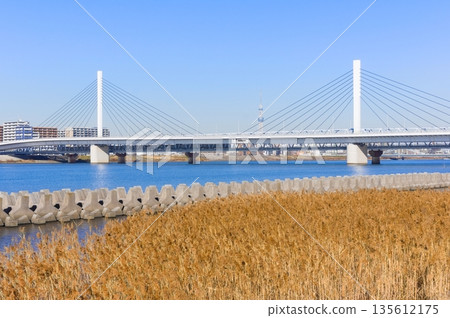 2026年1月,東京江戶川區荒川河口附近 2026年1月,東京江戶川區荒川河口附近 135612175