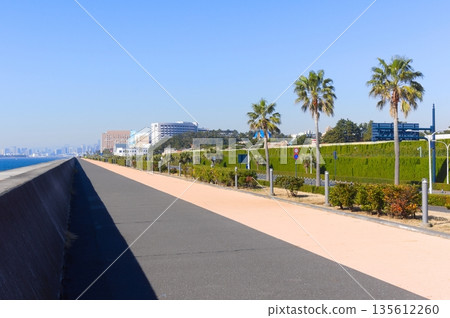 Around Maihama Station, Urayasu City, Chiba Prefecture January 2026 135612260