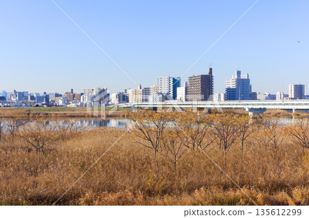 東京葛飾區荒川區 2026 年 1 月 東京葛飾區荒川區 2026 年 1 月 135612299
