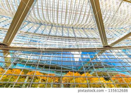 東京千代田區丸之內東京國際論壇前廣場的秋葉 東京千代田區丸之內東京國際論壇前廣場的秋葉 135612686