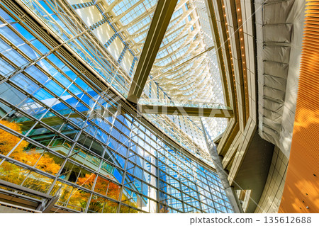 Autumn leaves in the plaza in front of the Tokyo International Forum, Marunouchi, Chiyoda Ward, Tokyo 135612688