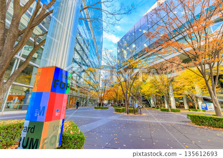 Autumn leaves in the plaza in front of the Tokyo International Forum, Marunouchi, Chiyoda Ward, Tokyo 135612693