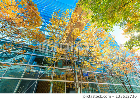 Autumn leaves in the plaza in front of the Tokyo International Forum, Marunouchi, Chiyoda Ward, Tokyo Autumn leaves in the plaza in front of the Tokyo International Forum, Marunouchi, Chiyoda Ward, Tokyo 135612730