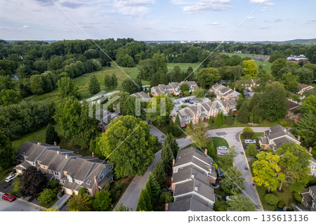 A residential area with many houses and trees. Chesterbrook, Pensilvania. USA 135613136